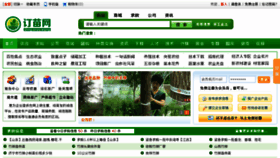 What Dingmiao.com website looked like in 2015 (8 years ago)