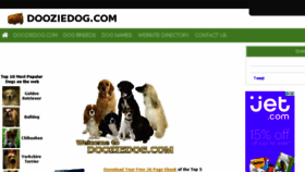 What Dooziedog.com website looked like in 2016 (8 years ago)