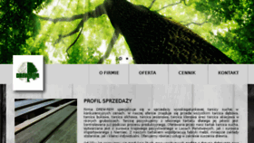 What Drew-rem.pl website looked like in 2016 (7 years ago)