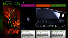 What Dovepos.com website looked like in 2016 (7 years ago)