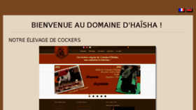 What Domainehaisha.com website looked like in 2016 (7 years ago)