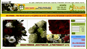 What Dflowers.co.il website looked like in 2016 (7 years ago)
