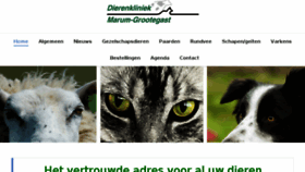 What Dapmarum.nl website looked like in 2016 (7 years ago)