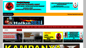 What Dogubayazithalkinsesi.com website looked like in 2016 (7 years ago)