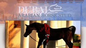 What Dubaiarabianstud.com website looked like in 2017 (7 years ago)