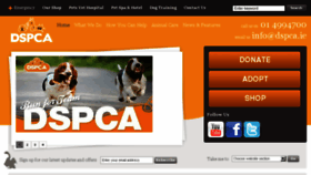 What Dspca.ie website looked like in 2017 (7 years ago)