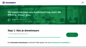 What Domeinbalie.nl website looked like in 2017 (6 years ago)