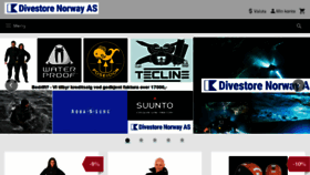 What Divestore.com website looked like in 2017 (6 years ago)