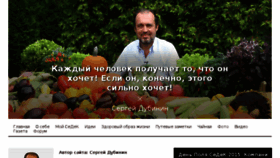 What Dubininsergey.ru website looked like in 2017 (6 years ago)