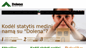 What Dolena.lt website looked like in 2017 (6 years ago)