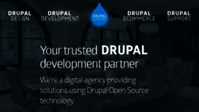 What Drupalcentric.solutions website looked like in 2017 (6 years ago)