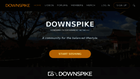 What Downspike.com website looked like in 2017 (6 years ago)