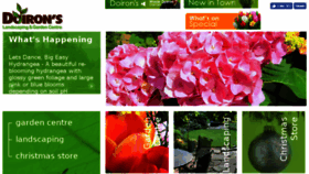 What Doironslandscaping.com website looked like in 2017 (6 years ago)
