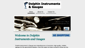 What Dolphingauges.com website looked like in 2017 (6 years ago)