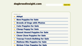 What Dogbreedinsight.com website looked like in 2017 (6 years ago)