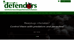 What Defenders.co.uk website looked like in 2017 (6 years ago)