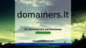 What Domainers.lt website looked like in 2017 (6 years ago)