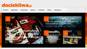 What Dociekliwa.pl website looked like in 2017 (6 years ago)