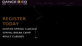 What Danceco.com website looked like in 2018 (6 years ago)