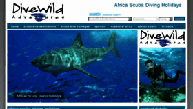 What Divewild.com website looked like in 2018 (6 years ago)