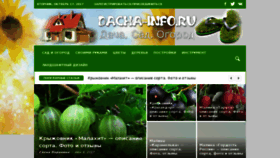What Dacha-info.ru website looked like in 2018 (6 years ago)