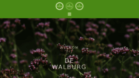 What Dewalburg.nl website looked like in 2018 (5 years ago)