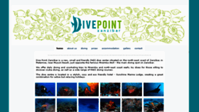 What Divepointzanzibar.com website looked like in 2018 (5 years ago)