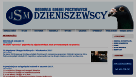 What Dzieniszewscy.pl website looked like in 2018 (5 years ago)
