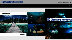 What Divestore.com website looked like in 2018 (5 years ago)