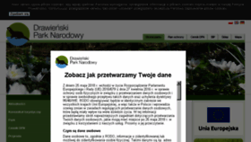 What Dpn.pl website looked like in 2018 (5 years ago)