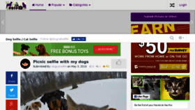 What Dogcatselfie.com website looked like in 2018 (5 years ago)