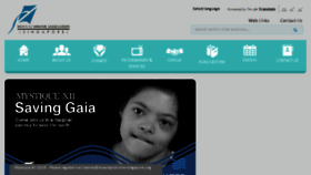 What Downsyndrome-singapore.org website looked like in 2018 (5 years ago)