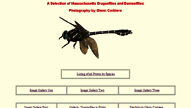 What Dragonhunter.net website looked like in 2018 (5 years ago)