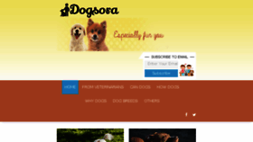What Dogsora.com website looked like in 2018 (5 years ago)