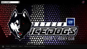 What Drydenicedogs.net website looked like in 2018 (5 years ago)