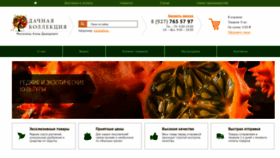 What D-collection-shop.ru website looked like in 2018 (5 years ago)