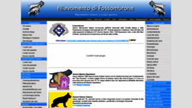 What Difossombrone.it website looked like in 2018 (5 years ago)