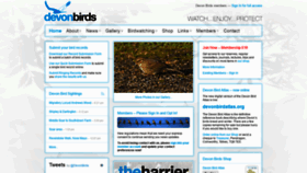 What Devonbirds.org website looked like in 2018 (5 years ago)