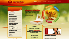 What Darewit.pl website looked like in 2018 (5 years ago)