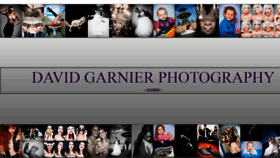 What David-garnier.com website looked like in 2018 (5 years ago)