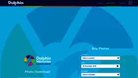 What Dolphindiscoverymemories.com website looked like in 2018 (5 years ago)