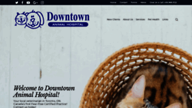 What Downtownanimalhospital.ca website looked like in 2019 (5 years ago)