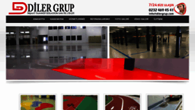 What Dilergrup.com website looked like in 2019 (5 years ago)