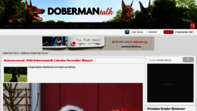 What Dobermantalk.com website looked like in 2019 (5 years ago)