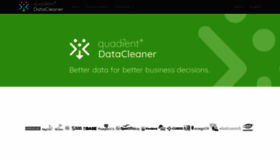 What Datacleaner.org website looked like in 2019 (5 years ago)