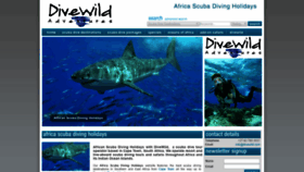 What Divewild.com website looked like in 2019 (5 years ago)