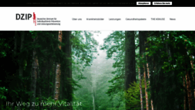 What Dzip.de website looked like in 2019 (5 years ago)