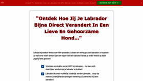 What De-labrador-retriever.nl website looked like in 2019 (5 years ago)