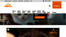 What Dspca.ie website looked like in 2019 (5 years ago)