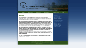 What Dikeconsultants.com website looked like in 2019 (5 years ago)